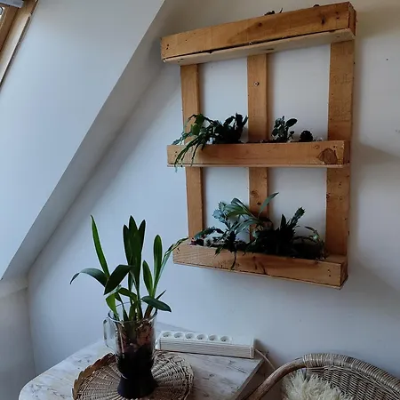 Petersholm * 欧德尔