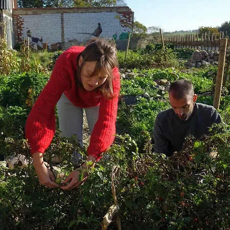 Couette-café Petersholm *