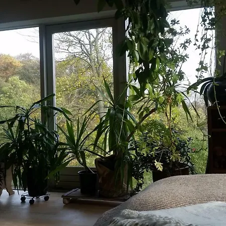 Couette-café Petersholm *