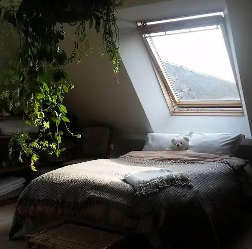 Bed & Breakfast Petersholm *